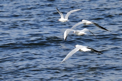 Img 20100916 134345