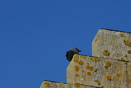 Img 20100916 164016