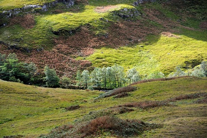 Img 20100917 123445