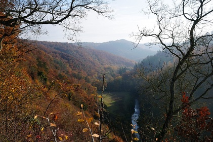 Img 20091101 102835