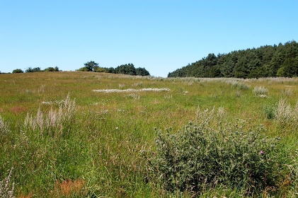 021 Ruegen04