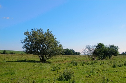 023 Ruegen04