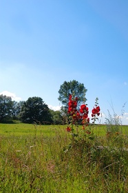 028 Ruegen04