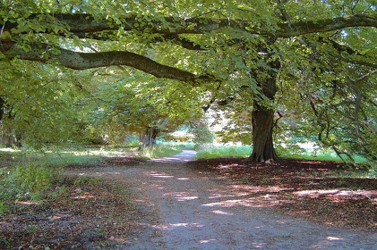041 Ruegen04