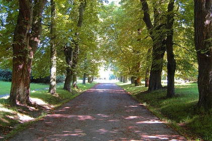 043 Ruegen04