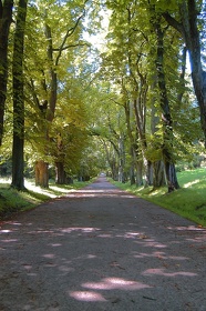 044 Ruegen04