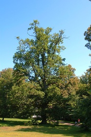 058 Ruegen04