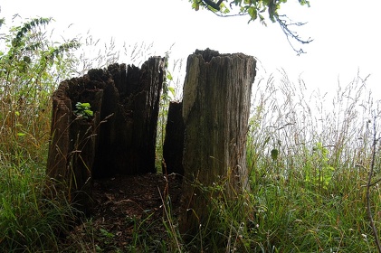 122 Ruegen04