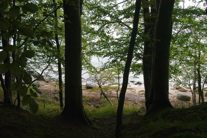 127 Ruegen04