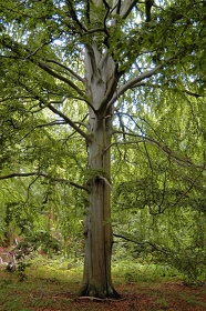 129 Ruegen04