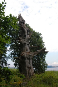 133 Ruegen04