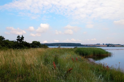 141 Ruegen04