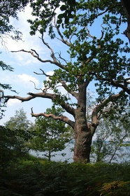 146 Ruegen04
