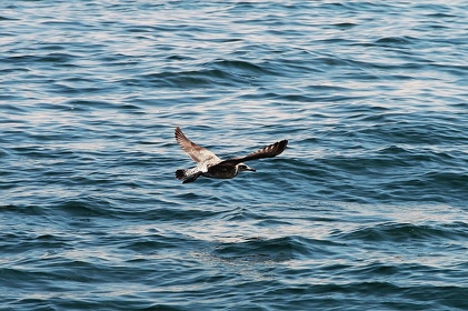 209 Ruegen04
