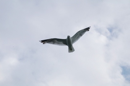 223 Ruegen04