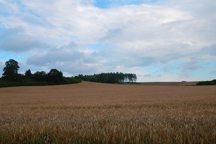 226 Ruegen04
