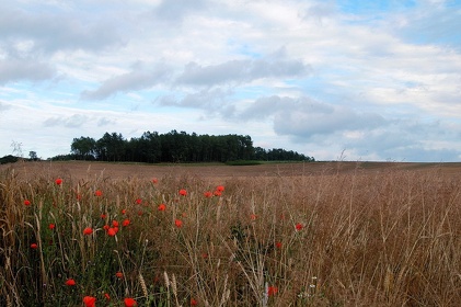 235 Ruegen04