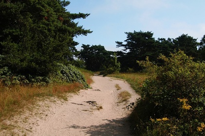 296 Ruegen04