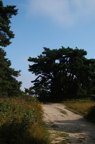 297 Ruegen04