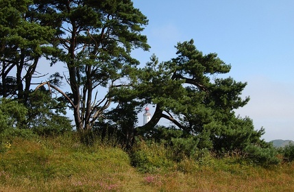 299 Ruegen04