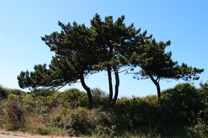 330 Ruegen04