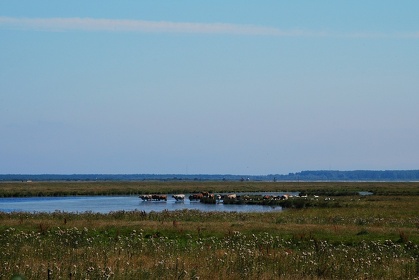 332 Ruegen04