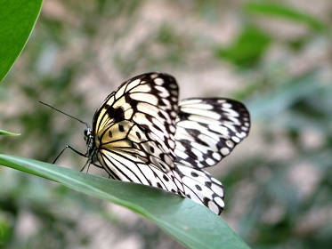 2003 0820 140056AA