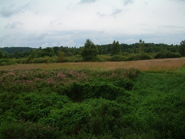 2003 0821 104716AA