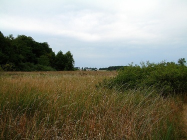 2003 0822 145408AA