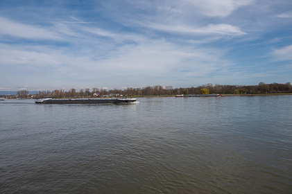 Img 20230318 130331
