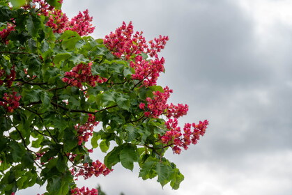 Img 20240505 112516