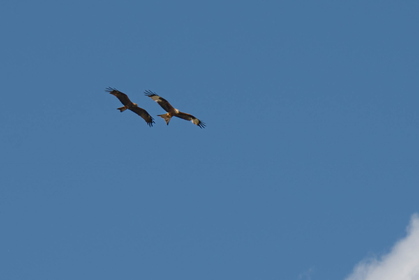 Img 20240506 155034