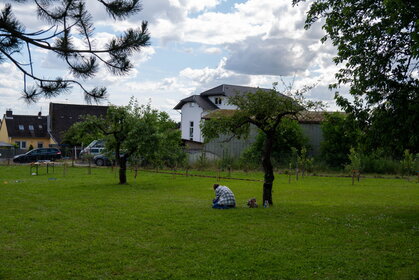 Img 20240615 171121