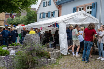 Img 20240706 185353