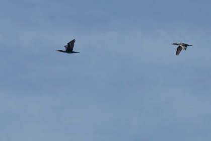 Img 20241017 110720 01