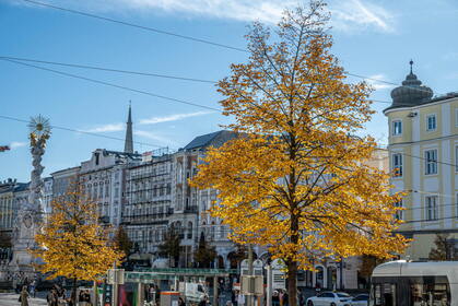 Img 20241017 144441