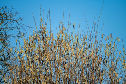 Img 20250202 115935
