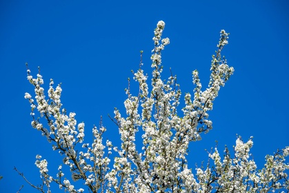 Img 20250406 120041