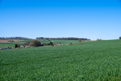 Img 20250406 132603