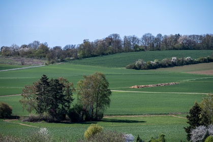 Img 20250406 132934