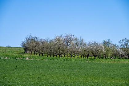 Img 20250406 133609