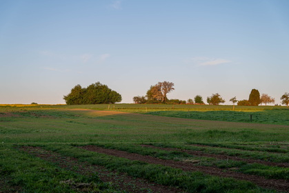 Img 20250420 065309