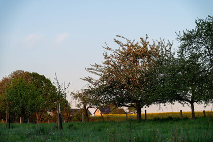 Img 20250420 064917