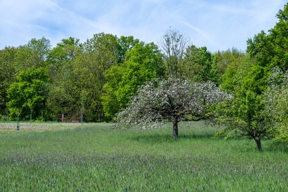 Img 20250427 122751