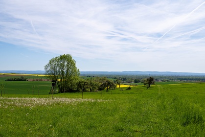 Img 20250427 123256