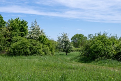 Img 20250427 131004