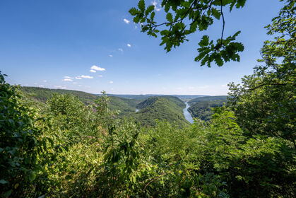 Img 20250630 144543