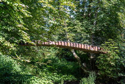 Img 20250630 162945