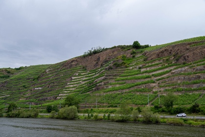 Img 20250626 165015