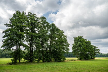 Img 20250717 105556